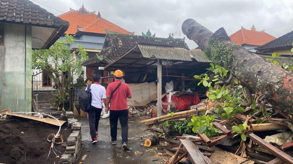 Pohon Tumbang akibat Cuaca Ekstrim di Banjar Dukuh Sengguan, Desa Munggu, Kecamatan Mengwi Tanggal 06 Januari 2023